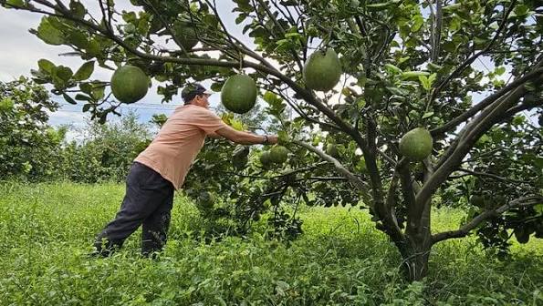 Farm image