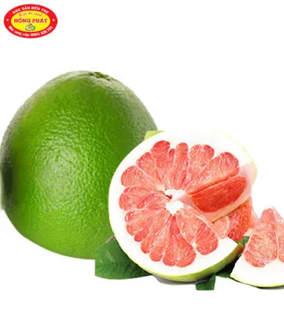 [BUOI-DNTBCX] Bưởi